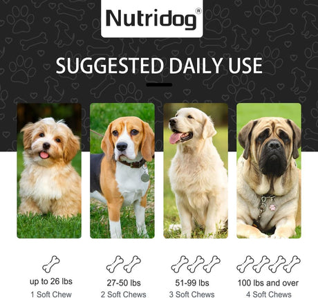 NUTRIDOG - Nutridog Advanced Cognition Chews for Dogs 120 Masticables - The Red Vitamin MX - Suplementos Herbales Para Perros - {{ shop.shopifyCountryName }}