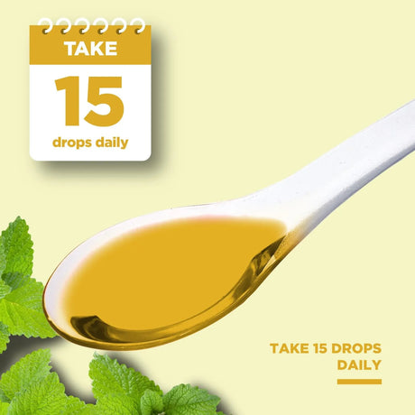 PHYTORAL - Phytoral Lemon Balm Extract 60Ml. - The Red Vitamin MX - Suplementos Alimenticios - {{ shop.shopifyCountryName }}