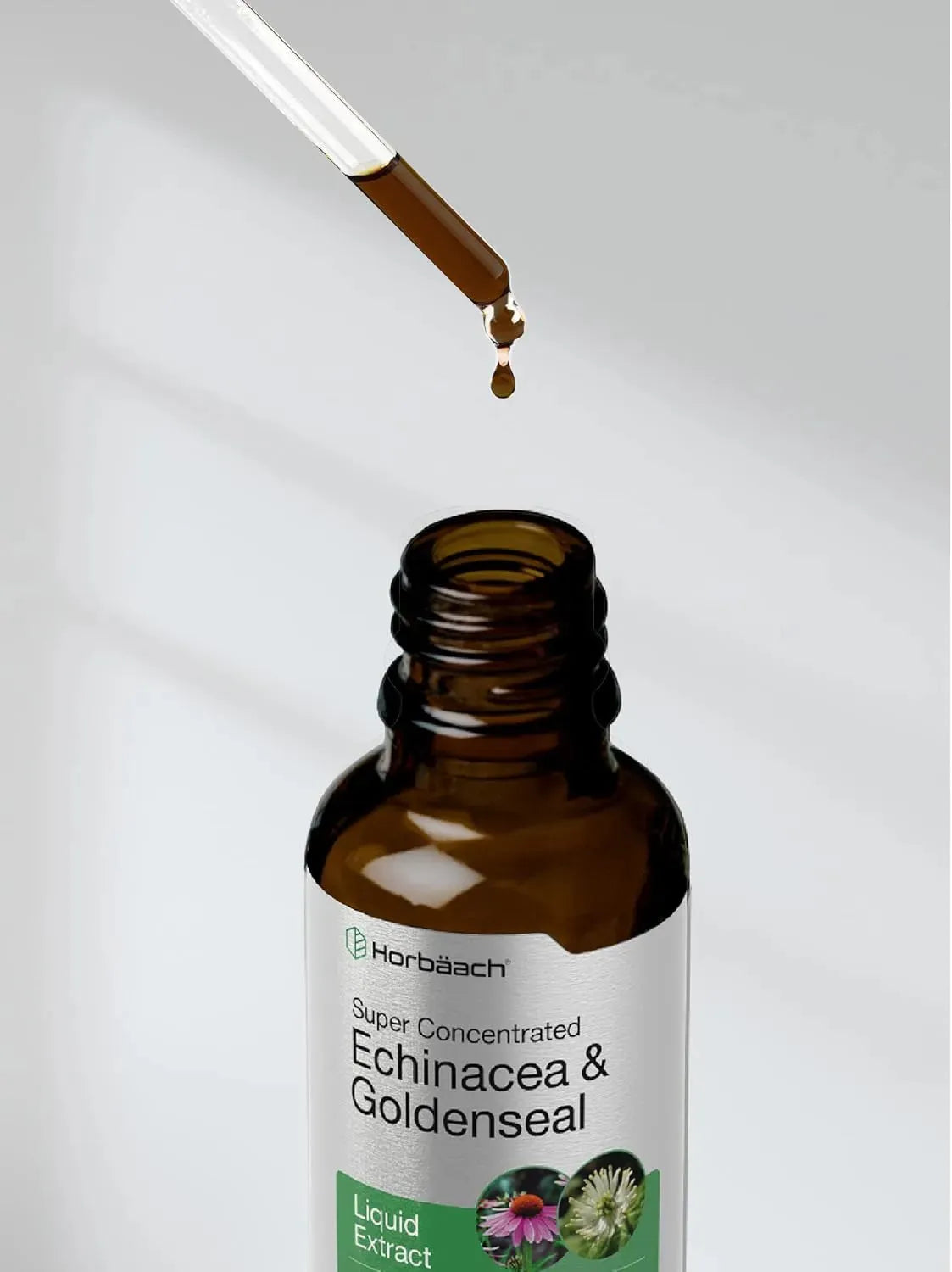 HORBAACH - Horbaach Echinacea Goldenseal Liquid Extract 2 Fl.Oz. - The Red Vitamin MX - Suplementos Alimenticios - {{ shop.shopifyCountryName }}