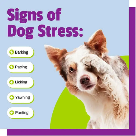 PET NATURALS - Pet Naturals Calming for Dogs Chicken 30 Masticables - The Red Vitamin MX - Relajantes Para Perros - {{ shop.shopifyCountryName }}