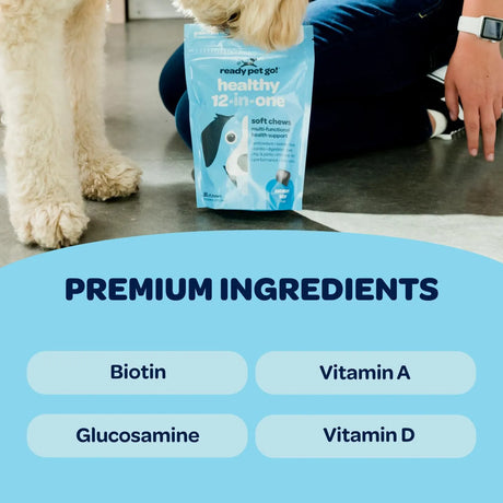 READY PET GO - Ready Pet Go! 12-in-1 Complete Multivitamin for Dogs 60 Masticables - The Red Vitamin MX - Multivitamínicos Para Perros - {{ shop.shopifyCountryName }}