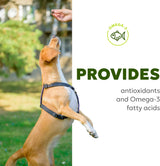 Wholesome Pet Wags Skin & Coat Soft Chews 60 Masticables