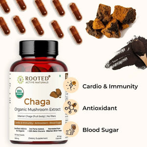 ROOTED - ROOTED Actives Siberian Chaga Mushroom Extract 60 Capsulas - The Red Vitamin MX - Suplementos Alimenticios - {{ shop.shopifyCountryName }}