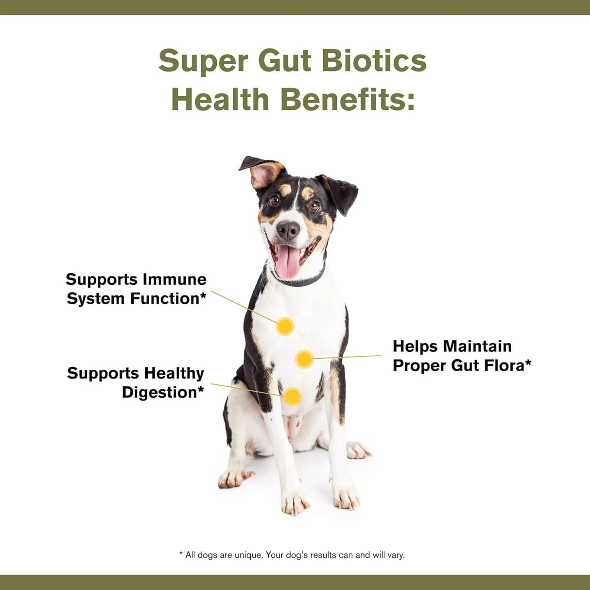 BADLANDS RANCH - BADLANDS RANCH Super Gut Biotics Canine Digestive 30 Servicios 90Gr. - The Red Vitamin MX - Probióticos Para Perros - {{ shop.shopifyCountryName }}