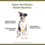 BADLANDS RANCH - BADLANDS RANCH Super Gut Biotics Canine Digestive 30 Servicios 90Gr. - The Red Vitamin MX - Probióticos Para Perros - {{ shop.shopifyCountryName }}