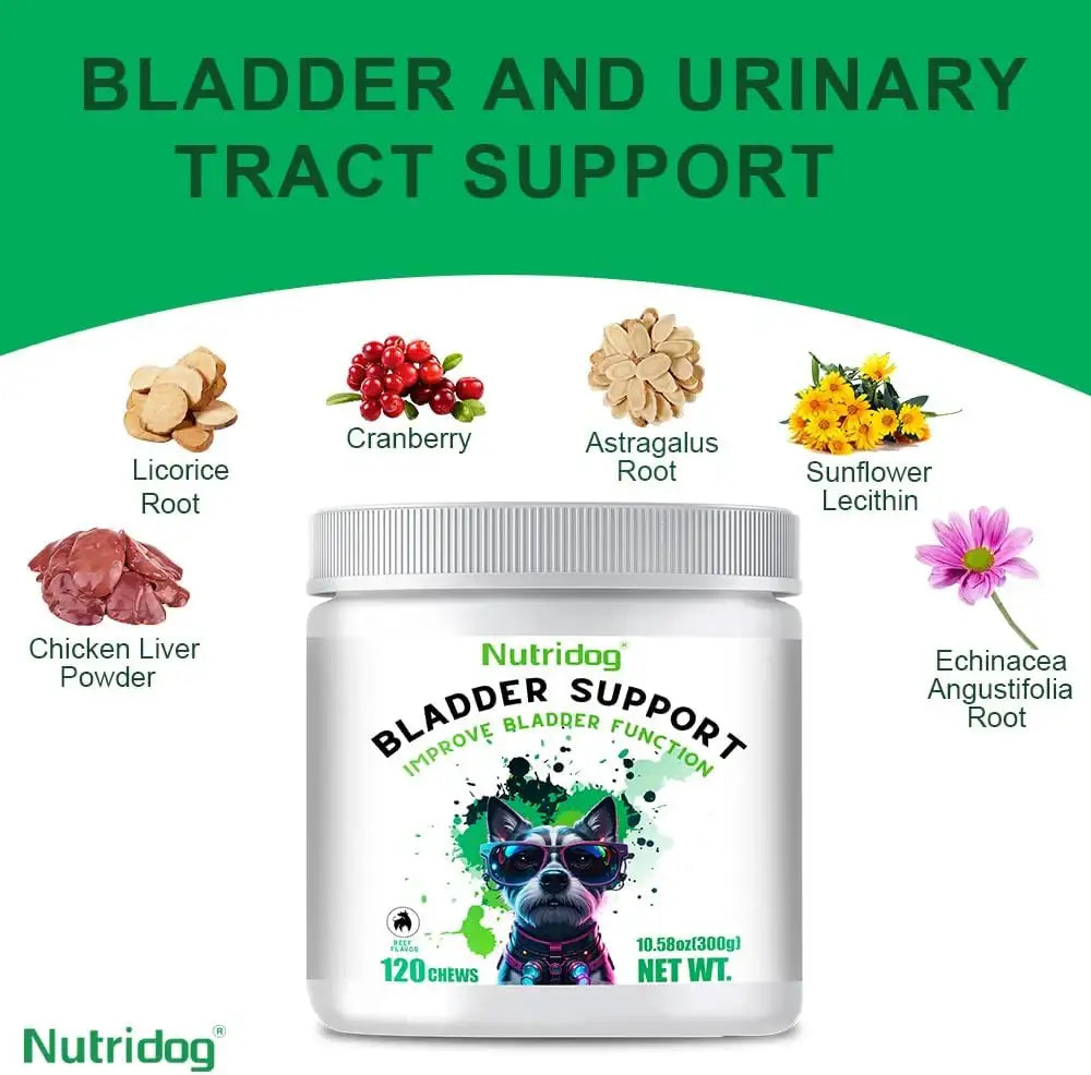 NUTRIDOG - Nutridog Cranberry Supplement for Dogs 120 Masticables - The Red Vitamin MX - Salud De Tracto Urinario Para Perros - {{ shop.shopifyCountryName }}