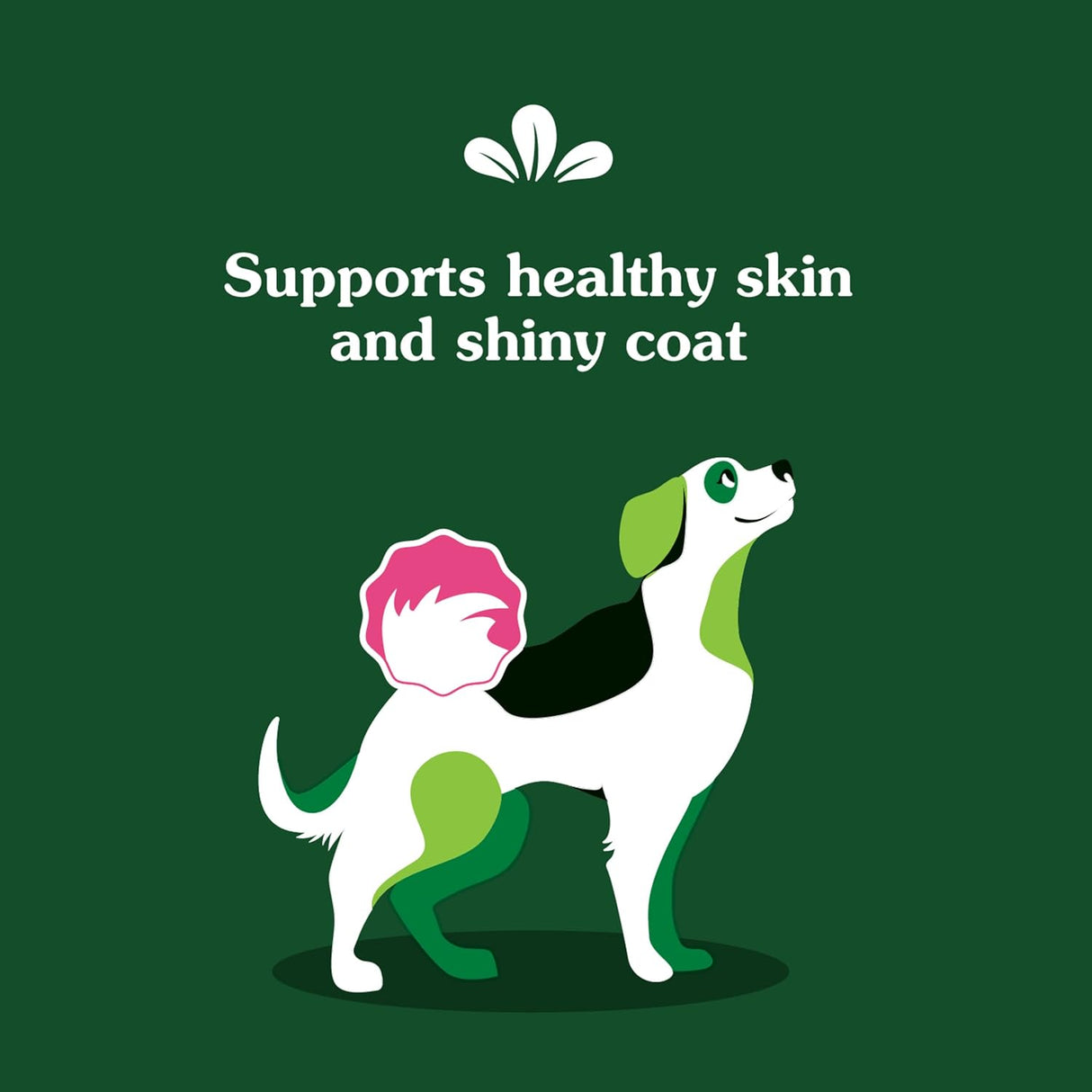 Greenies Supplements Dog Skin and Coat Chicken Flavor 80 Masticables