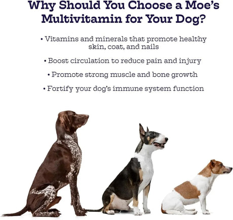 MOE'S - Moe’s 5-in-1 Essential Dog Multivitamin Chicken Flavored Chews 90 Masticables - The Red Vitamin MX - Multivitamínicos Para Perros - {{ shop.shopifyCountryName }}