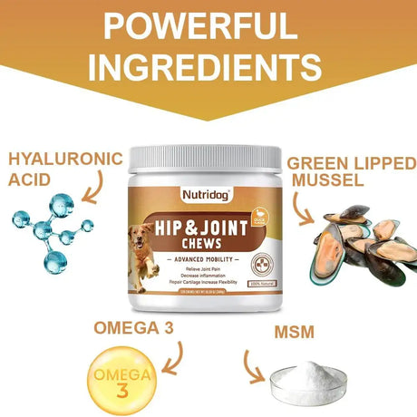 NUTRIDOG - Nutridog Hip and Joint Supplement for Dogs Duck 120 Masticables - The Red Vitamin MX - Cuidado De Cadera Y Articulaciones Para Perros - {{ shop.shopifyCountryName }}