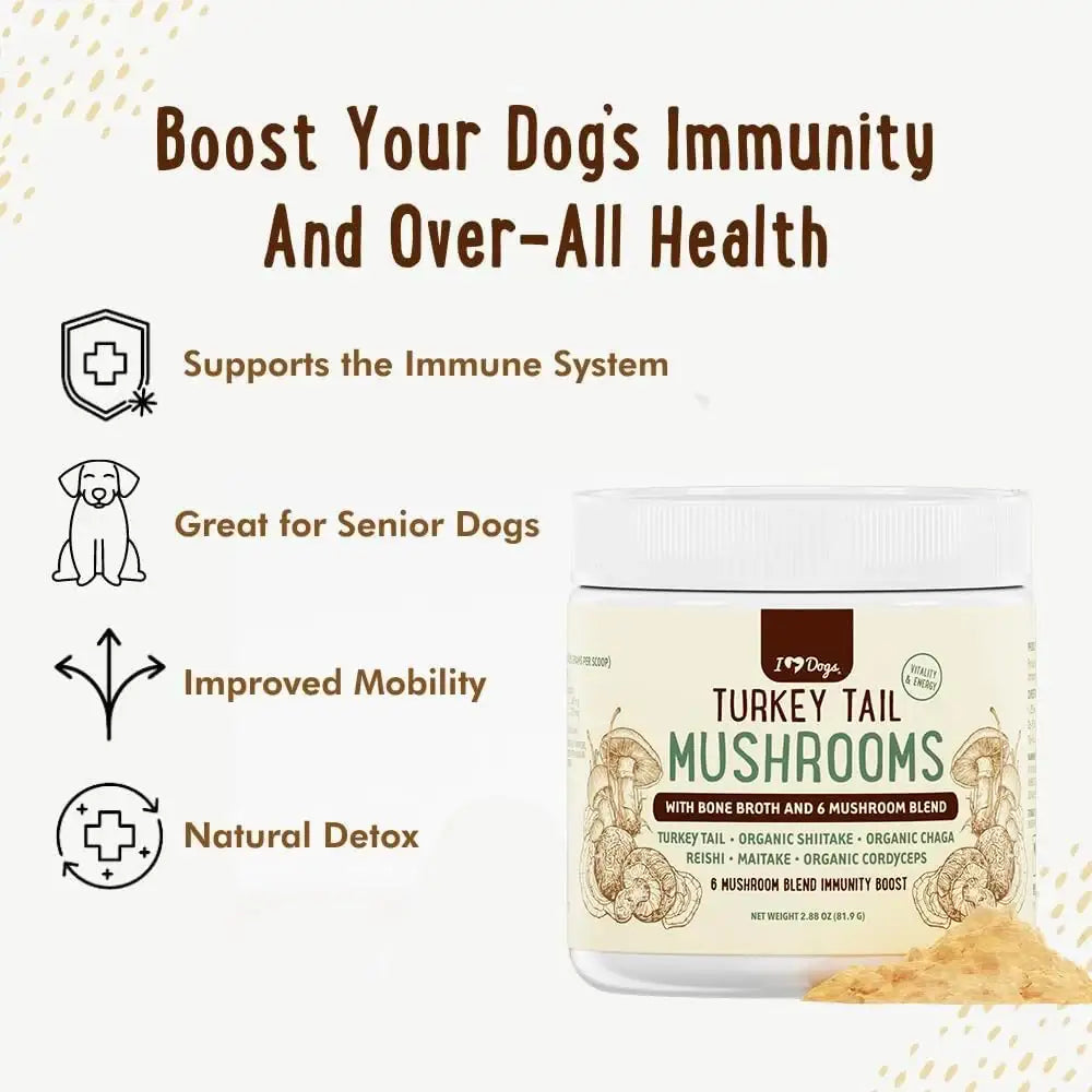 IHEARTDOGS - iHeartDogs Turkey Tail Mushroom for Dogs 81Gr. - The Red Vitamin MX - Suplementos Herbales Para Perros - {{ shop.shopifyCountryName }}