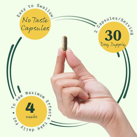 BETTERBRAND - Betterbrand BetterLungs Daily Respiratory Health 60 Capsulas 2 Pack - The Red Vitamin MX - Suplementos Alimenticios - {{ shop.shopifyCountryName }}