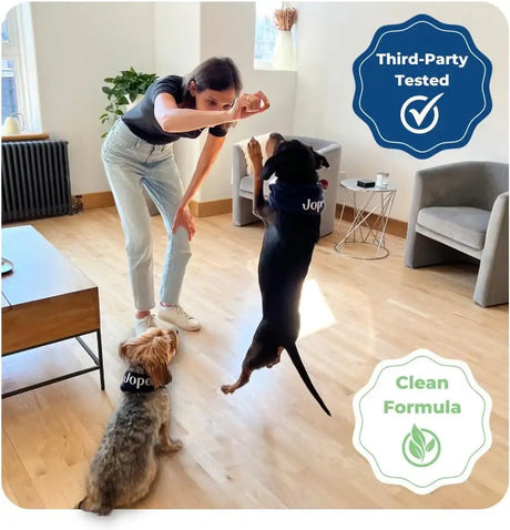 JOPE - Jope Hip and Joint Dog Chews with UC-II Collagen 60 Masticables - The Red Vitamin MX - Cuidado De Cadera Y Articulaciones Para Perros - {{ shop.shopifyCountryName }}
