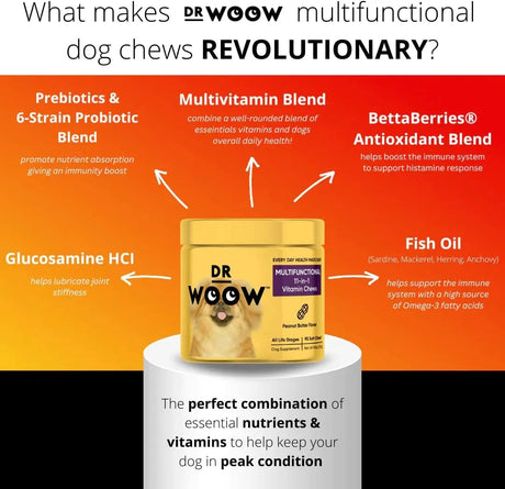DR WOOW - DR WOOW Multivitamins for Dogs 90 Masticables - The Red Vitamin MX - Multivitamínicos Para Perros - {{ shop.shopifyCountryName }}