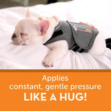 THUNDERSHIRT - ThunderShirt for Dogs Anxiety Relief Calming Vest XLARGE - The Red Vitamin MX - Relajantes Para Perros - {{ shop.shopifyCountryName }}