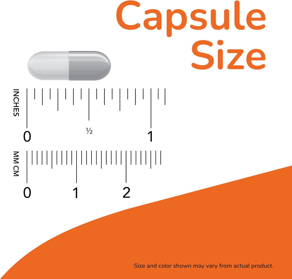 NOW Foods Supplements Butterbur 60 Capsulas