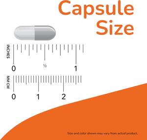 NOW Foods Supplements Butterbur 60 Capsulas