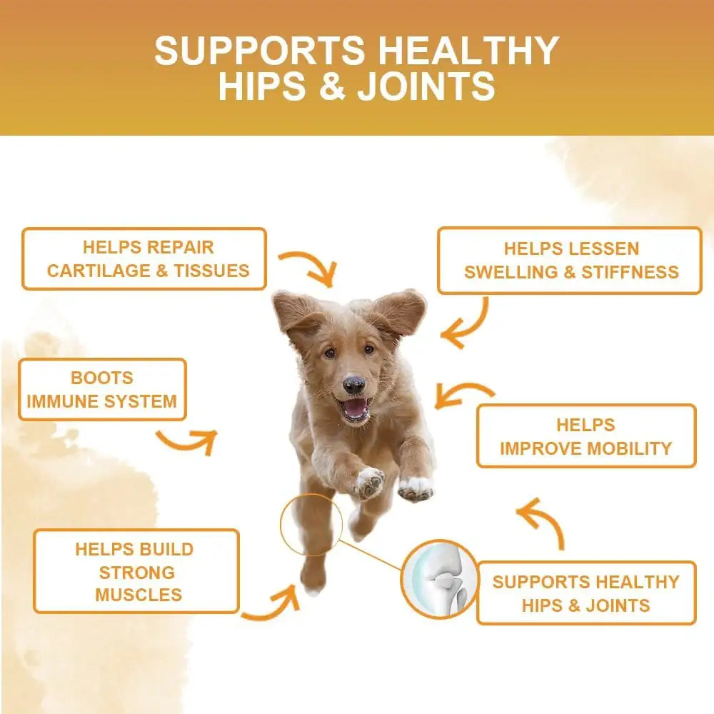 NUTRIDOG - Nutridog Hip and Joint Supplement for Dogs Duck 120 Masticables - The Red Vitamin MX - Cuidado De Cadera Y Articulaciones Para Perros - {{ shop.shopifyCountryName }}