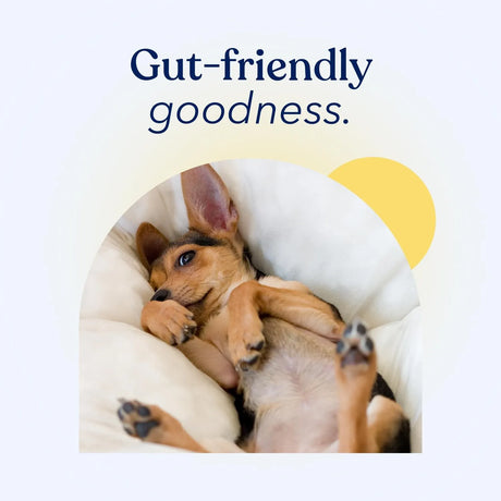 HONEST PAWS - Honest Paws Premium Probiotic Powder Chicken 30 Paquetes - The Red Vitamin MX - Probióticos Para Perros - {{ shop.shopifyCountryName }}