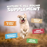 PETS PUREST - Pets Purest Salmon Oil for Dogs & Cats 8 Fl.Oz. - The Red Vitamin MX - Aceite De Pescado Para Perros - {{ shop.shopifyCountryName }}