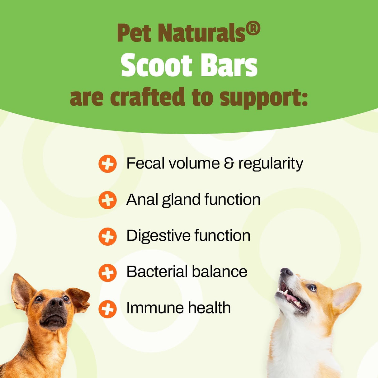 Pet Naturals Scoot Bars for Dogs Digestive Support 30 Masticables