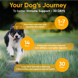 IHEARTDOGS - iHeartDogs Bone Broth & Mushroom Gold Powder 81.9Gr. - The Red Vitamin MX - Suplementos Herbales Para Perros - {{ shop.shopifyCountryName }}