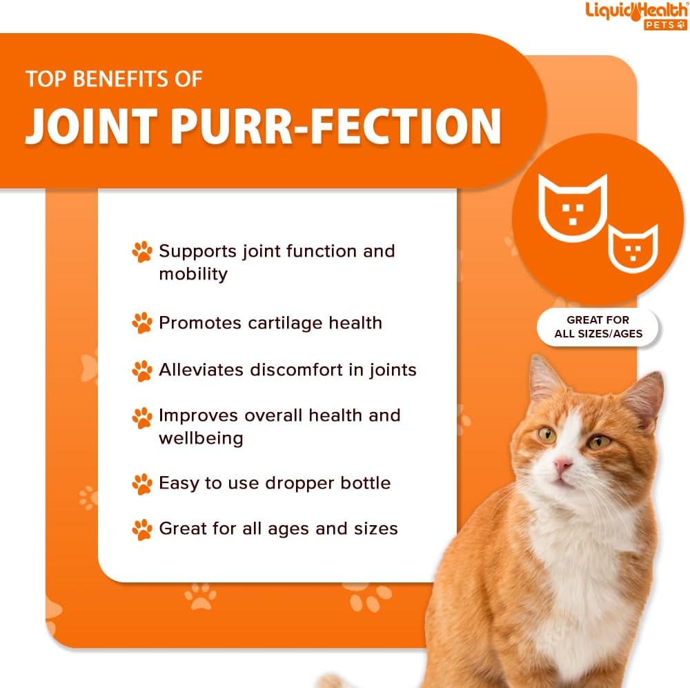 LIQUIDHEALTH Pets Liquid Cat Glucosamine Joint 2 Fl.Oz.