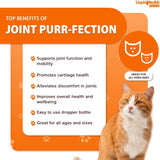 LIQUIDHEALTH Pets Liquid Cat Glucosamine Joint 2 Fl.Oz. 2 Pack
