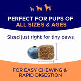 GOODGROWLIES - GOODGROWLIES Dog Allergy Relief Chews Chicken Flavor 180 Masticables - The Red Vitamin MX - Remedios Para La Picazón De Perros - {{ shop.shopifyCountryName }}