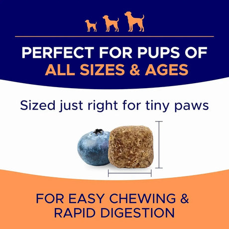 GOODGROWLIES - GOODGROWLIES Dog Allergy Relief Chews Chicken Flavor 180 Masticables - The Red Vitamin MX - Remedios Para La Picazón De Perros - {{ shop.shopifyCountryName }}