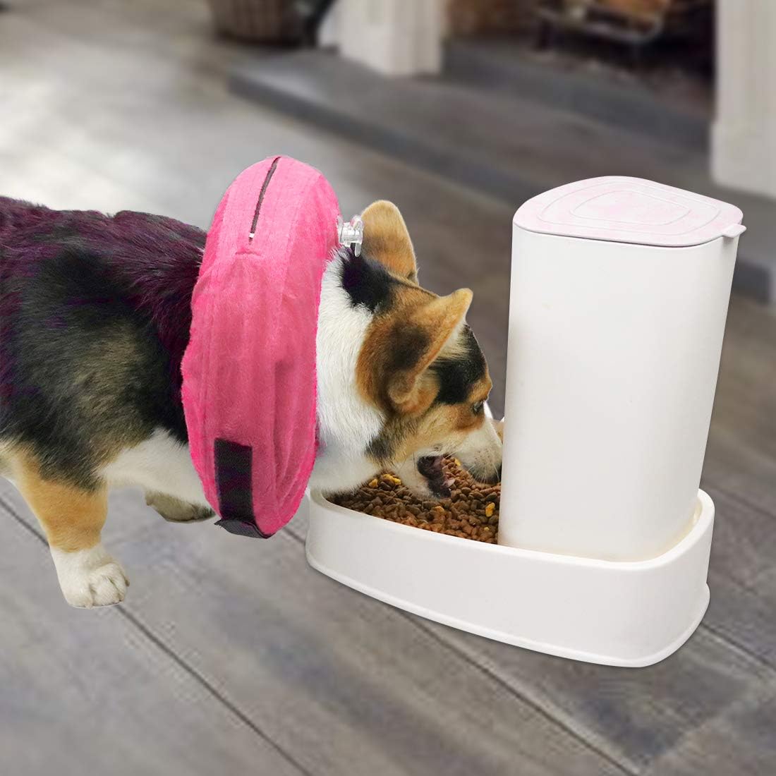 MCHY Adjustable Recovery Collar for Dogs XLARGE PINK