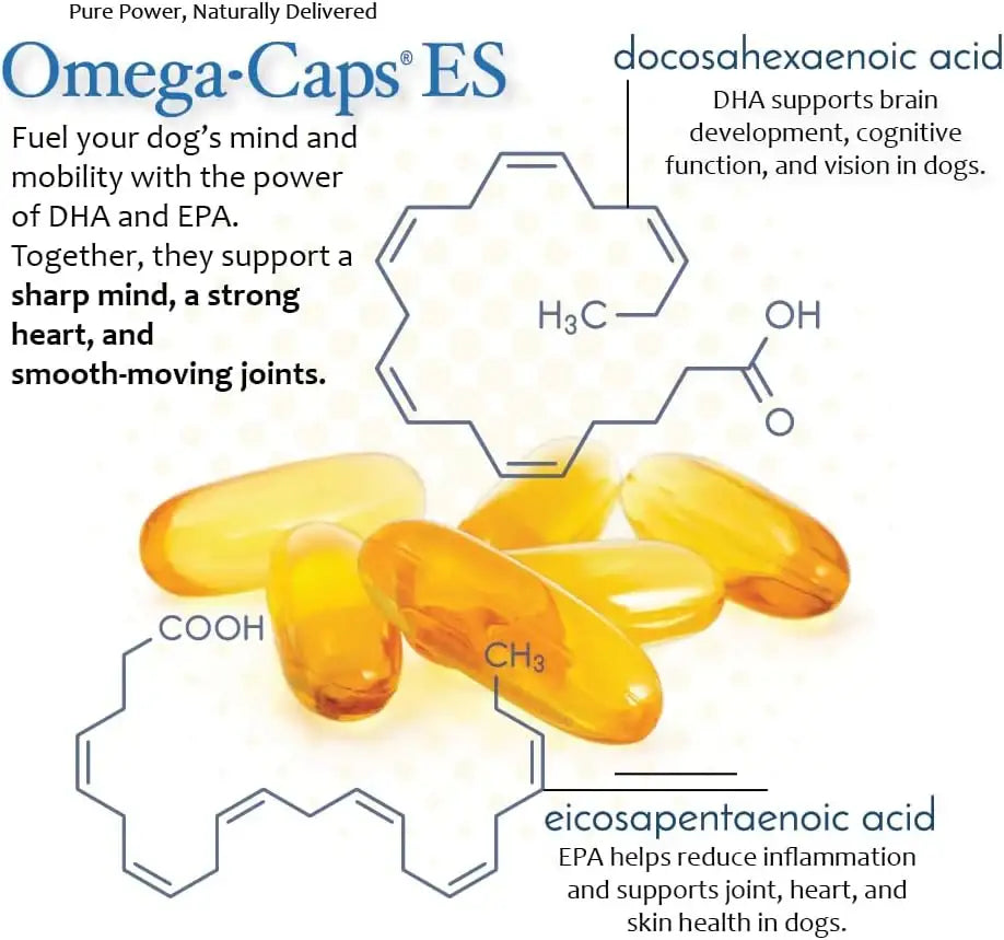 PET HEALTH SOLUTIONS - Pet Health Solutions Omega-Caps Extra Strength for Large Breeds 60 Capsulas Blandas - The Red Vitamin MX - Aceite De Pescado Para Perros - {{ shop.shopifyCountryName }}