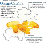 PET HEALTH SOLUTIONS - Pet Health Solutions Omega-Caps Extra Strength for Large Breeds 60 Capsulas Blandas - The Red Vitamin MX - Aceite De Pescado Para Perros - {{ shop.shopifyCountryName }}