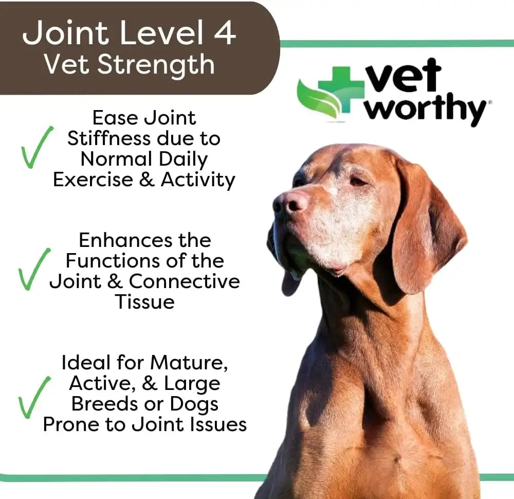 VET WORTHY - Vet Worthy Joint Support Level 4 Dog Supplement 60 Tabletas Masticables - The Red Vitamin MX - Cuidado De Cadera Y Articulaciones Para Perros - {{ shop.shopifyCountryName }}