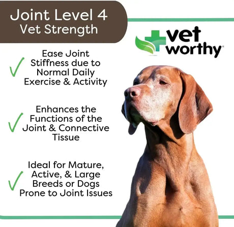 VET WORTHY - Vet Worthy Joint Support Level 4 Dog Supplement 60 Tabletas Masticables - The Red Vitamin MX - Cuidado De Cadera Y Articulaciones Para Perros - {{ shop.shopifyCountryName }}