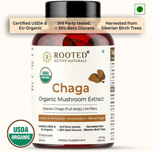 ROOTED - ROOTED Actives Siberian Chaga Mushroom Extract 60 Capsulas - The Red Vitamin MX - Suplementos Alimenticios - {{ shop.shopifyCountryName }}