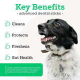 DR. JOSEPH'S - Dr. Joseph's Vetpro Complete Advanced Dental Sticks with Prebiotics 15 Piezas - The Red Vitamin MX - Cuidado Dental Para Perros - {{ shop.shopifyCountryName }}