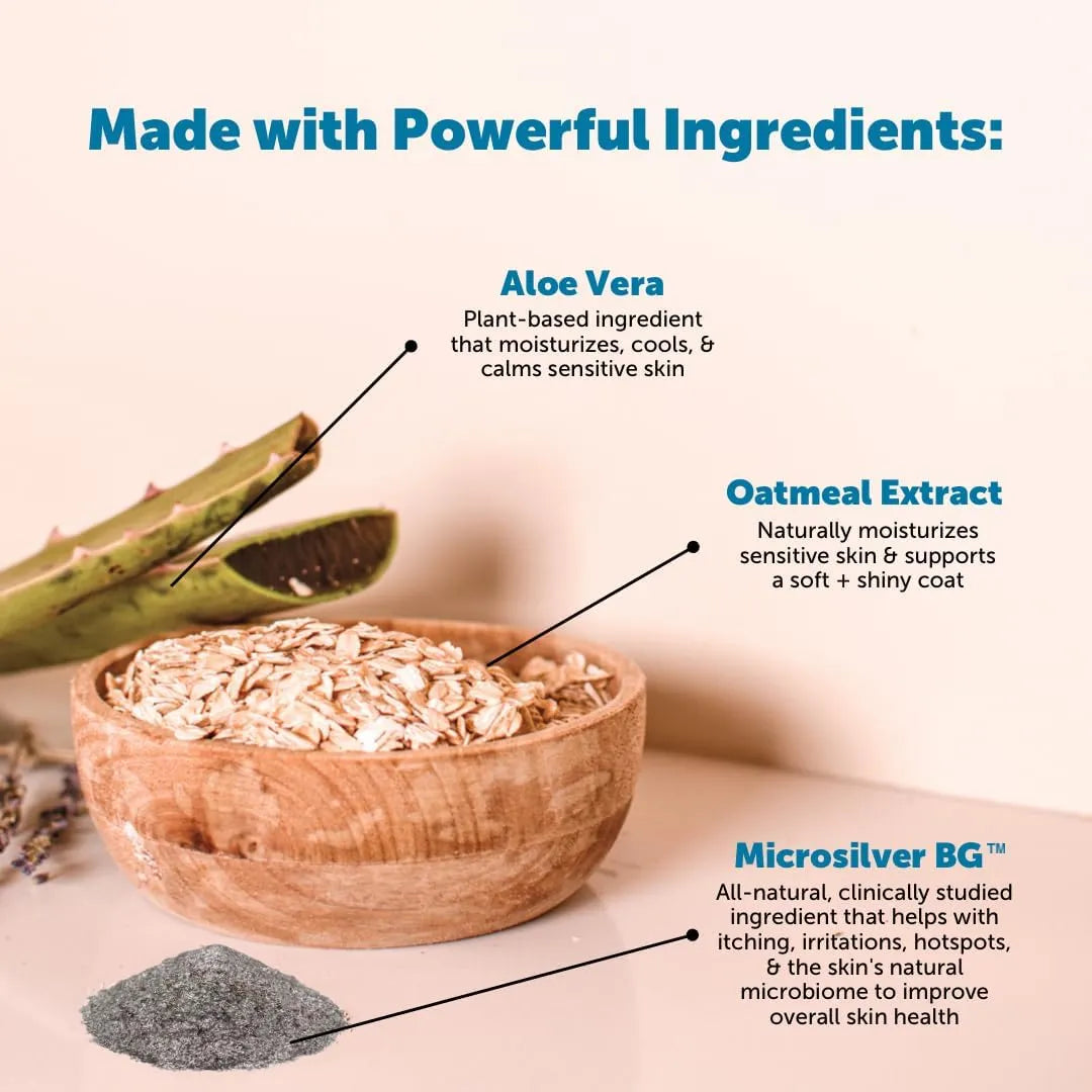 PET HONESTY - Pet Honesty Restore + Soothe 2 in 1 Shampoo + Conditioner for Sensitive Skin for Dogs & Cats 16 Fl.Oz. - The Red Vitamin MX - Remedios Para La Picazón De Perros - {{ shop.shopifyCountryName }}