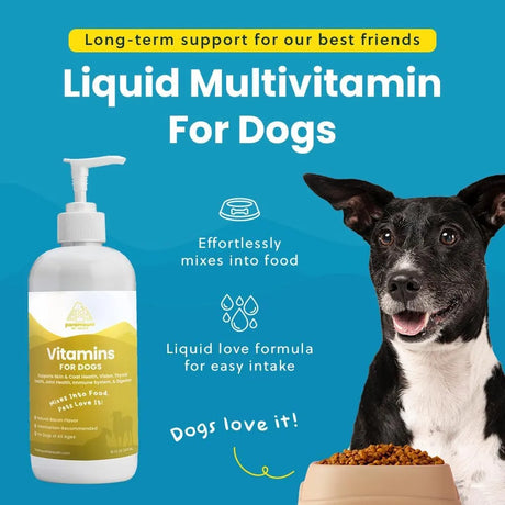 PARAMOUNT PET HEALTH - Paramount Pet Health Liquid Multivitamin for Dogs with Probiotics 473Ml. - The Red Vitamin MX - Multivitamínicos Para Perros - {{ shop.shopifyCountryName }}