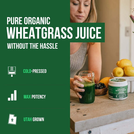 TRIQUETRA - Triquetra Health Organic Wheatgrass Juice Powder 60 Servicios 150Gr. - The Red Vitamin MX - Suplementos Alimenticios - {{ shop.shopifyCountryName }}