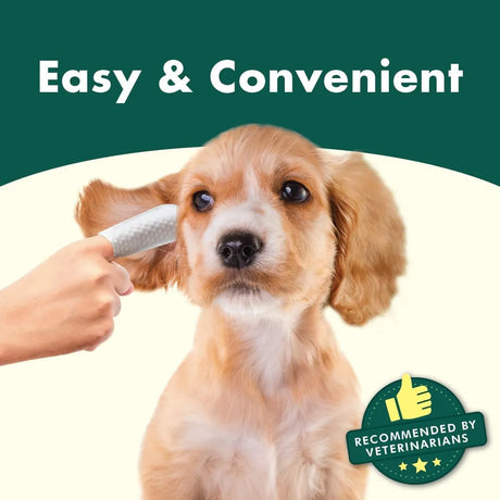 BLAZEGO - Blazego Ear Finger Wipes for Pets 50 Toallitas - The Red Vitamin MX - Cuidado Del Oído De Perros - {{ shop.shopifyCountryName }}