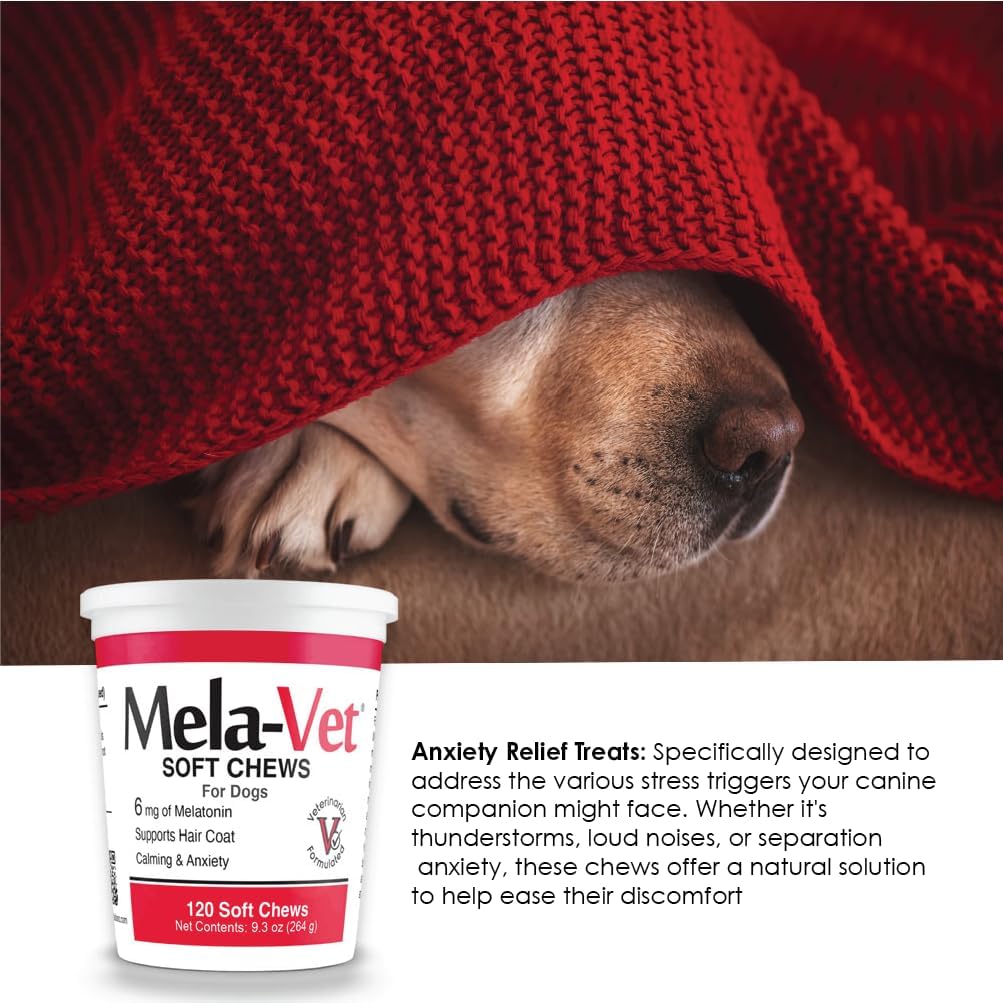 Mela-Vet Melatonin Calming Soft Chews for Dogs 120 Masticables