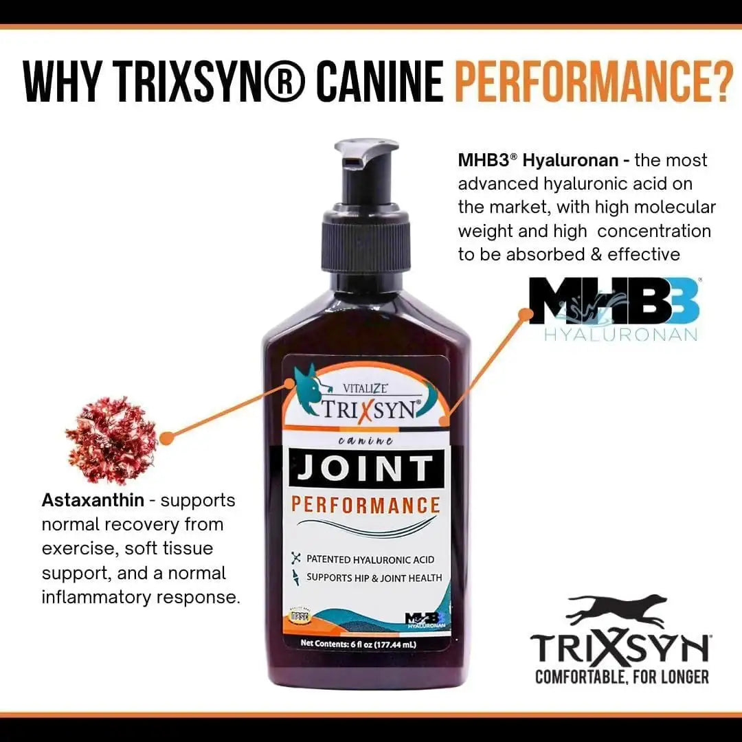 TRIXSYN - TRIXSYN Canine Performance Dog Hip & Joint Supplement 6 Fl.Oz. - The Red Vitamin MX - Cuidado De Cadera Y Articulaciones Para Perros - {{ shop.shopifyCountryName }}
