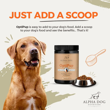 ALPHA DOG NUTRITION - Alpha Dog Nutrition OptiPup All-in-1 Puppy Multivitamin 60 Servicios 304Gr. - The Red Vitamin MX - Multivitamínicos Para Perros - {{ shop.shopifyCountryName }}