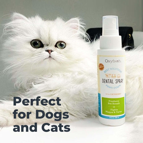 OXYFRESH - Oxyfresh Advanced Pet Dental Spray 237Ml. - The Red Vitamin MX - Cuidado Dental Para Perros - {{ shop.shopifyCountryName }}