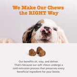 ZESTY PAWS - Zesty Paws Dog Allergy Relief Lamb 90 Masticables - The Red Vitamin MX - Remedios Para La Picazón De Perros - {{ shop.shopifyCountryName }}