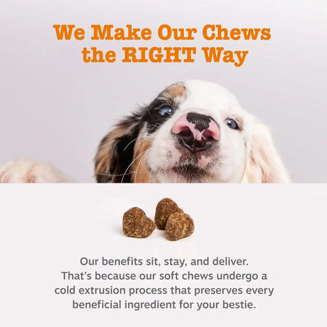 ZESTY PAWS - Zesty Paws Stay Green Bites for Dogs BEEF 90 Masticables - The Red Vitamin MX - Salud De Tracto Urinario Para Perros - {{ shop.shopifyCountryName }}