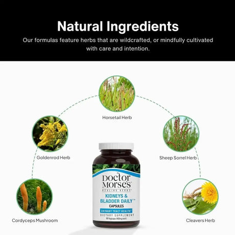 DOCTOR MORSE'S - Doctor Morse's Kidney & Bladder Daily Cleanse 90 Capsulas - The Red Vitamin MX - Suplementos Alimenticios - {{ shop.shopifyCountryName }}