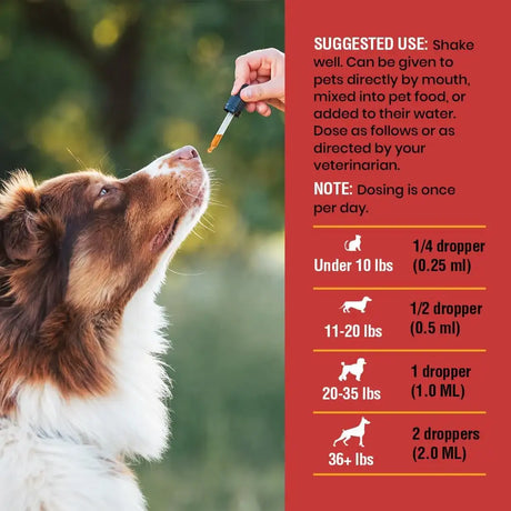 SPECIAL BREED - Special Breed Urinary Tract Infection Treatment for Cats and Dogs 4 Fl.Oz. - The Red Vitamin MX - Salud De Tracto Urinario Para Perros - {{ shop.shopifyCountryName }}