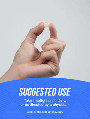 BULK SUPPLEMENTS - Bulk Supplements Vitamin K2 MK7 100mcg 365 Capsulas Blandas - The Red Vitamin MX - Suplementos Alimenticios - {{ shop.shopifyCountryName }}