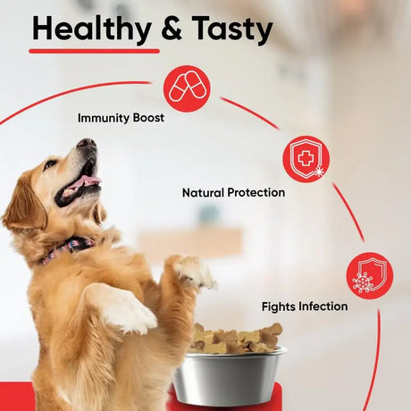 IHEARTDOGS - iHeartDogs Extra Strength Urinary, Bladder, & Kidney Support for Dogs 90 Masticables - The Red Vitamin MX - Salud De Tracto Urinario Para Perros - {{ shop.shopifyCountryName }}